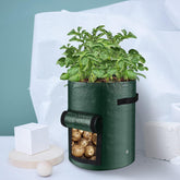 Potato Grow Bag with Harvest Window for Root Vegetables